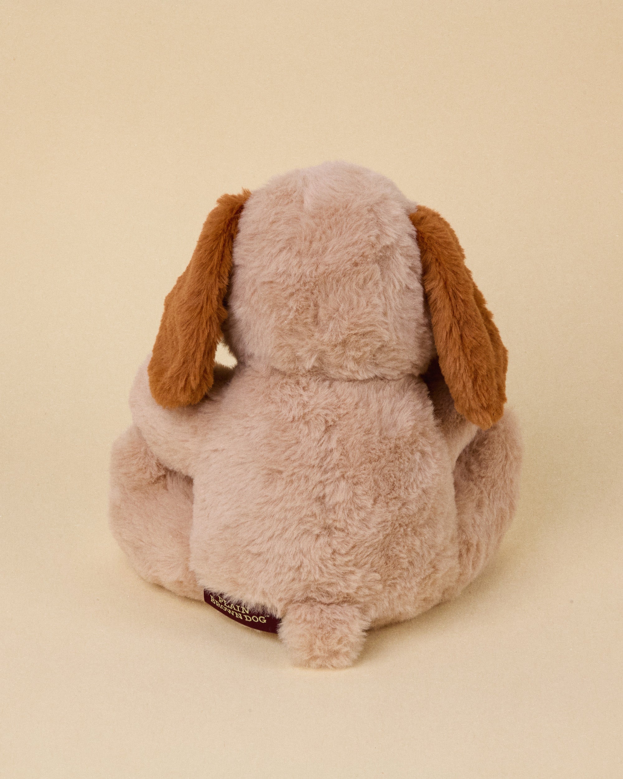 Any Plain Brown Dog (Choose for Me)