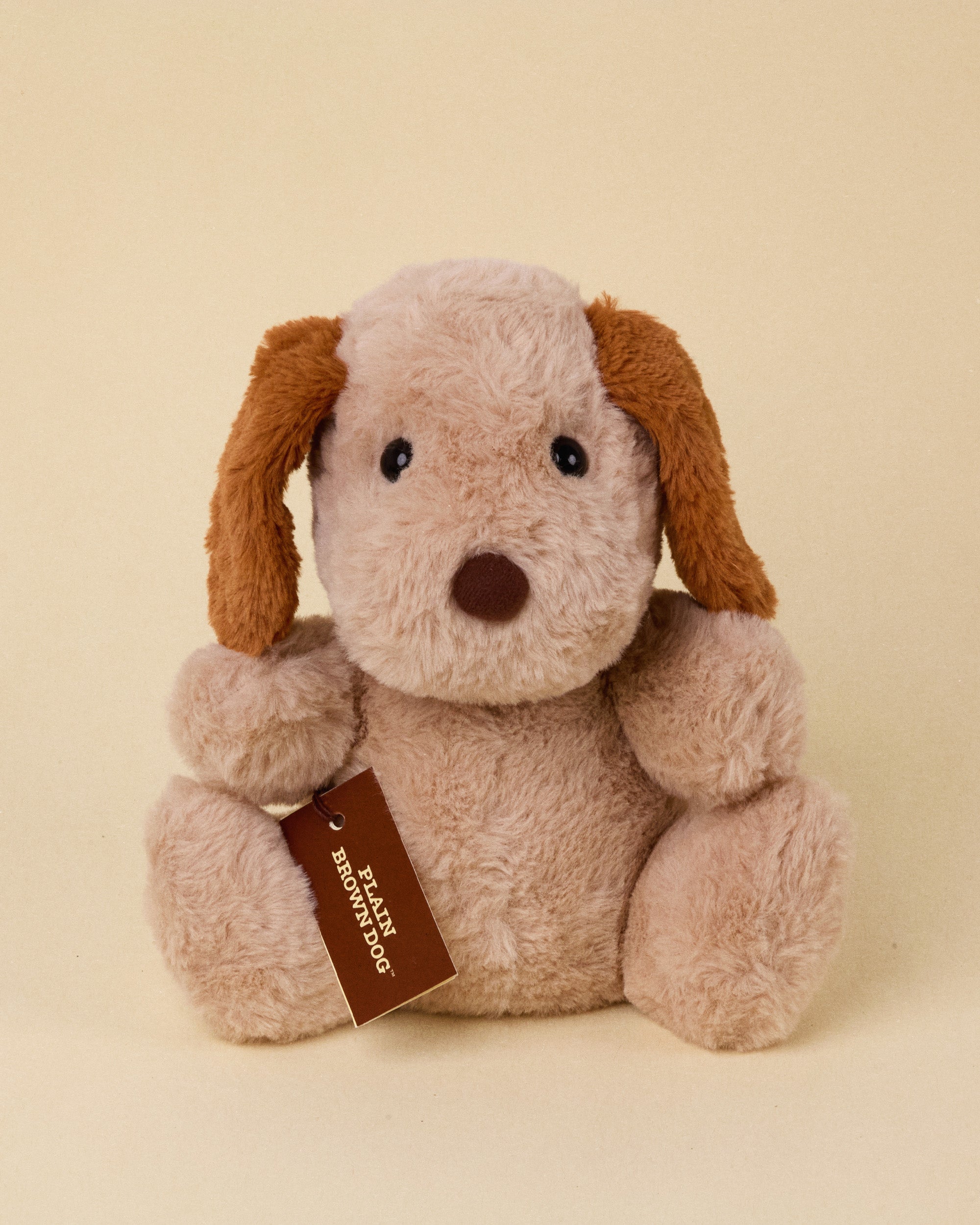 Any Plain Brown Dog (Choose for Me)