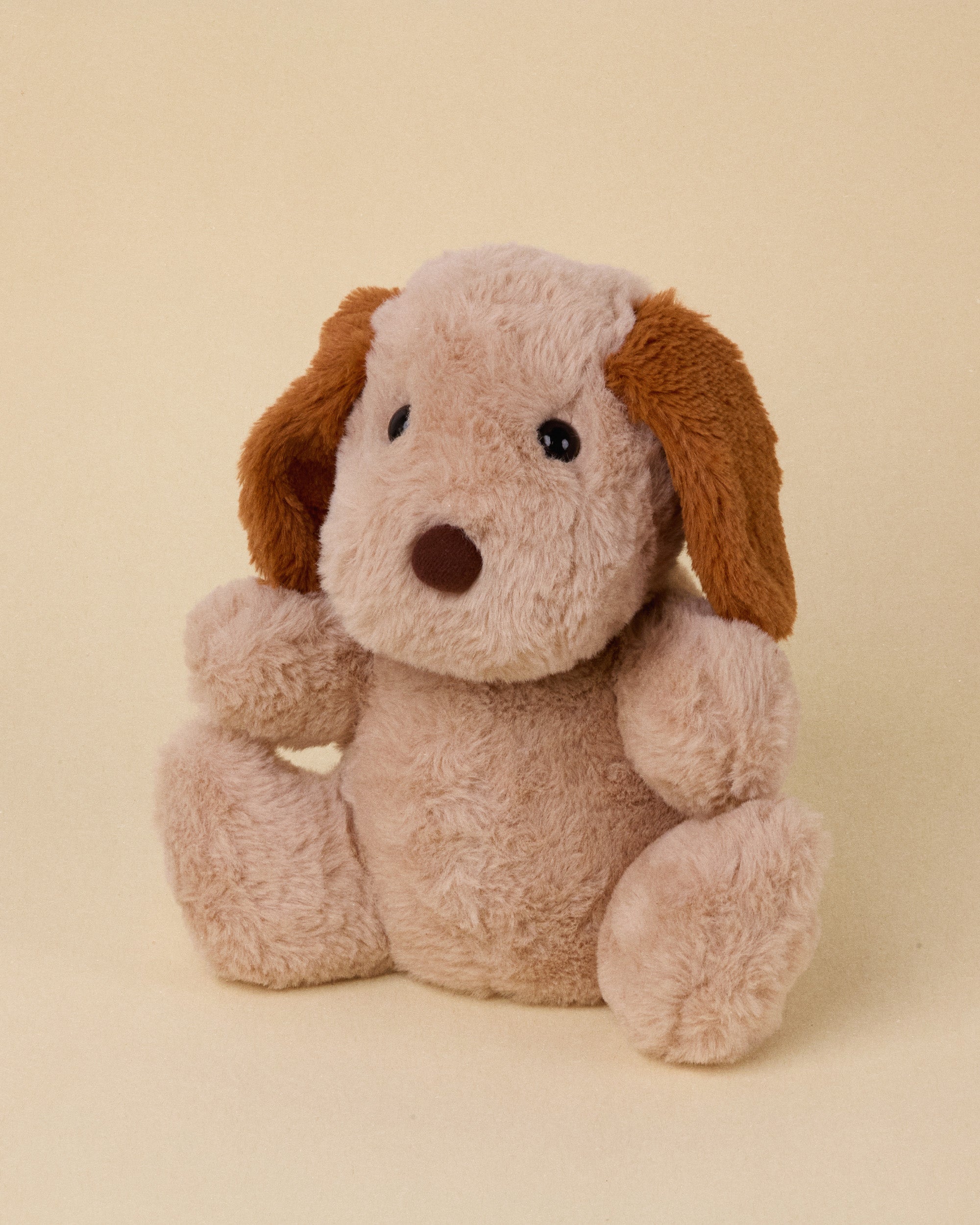 Any Plain Brown Dog (Choose for Me)